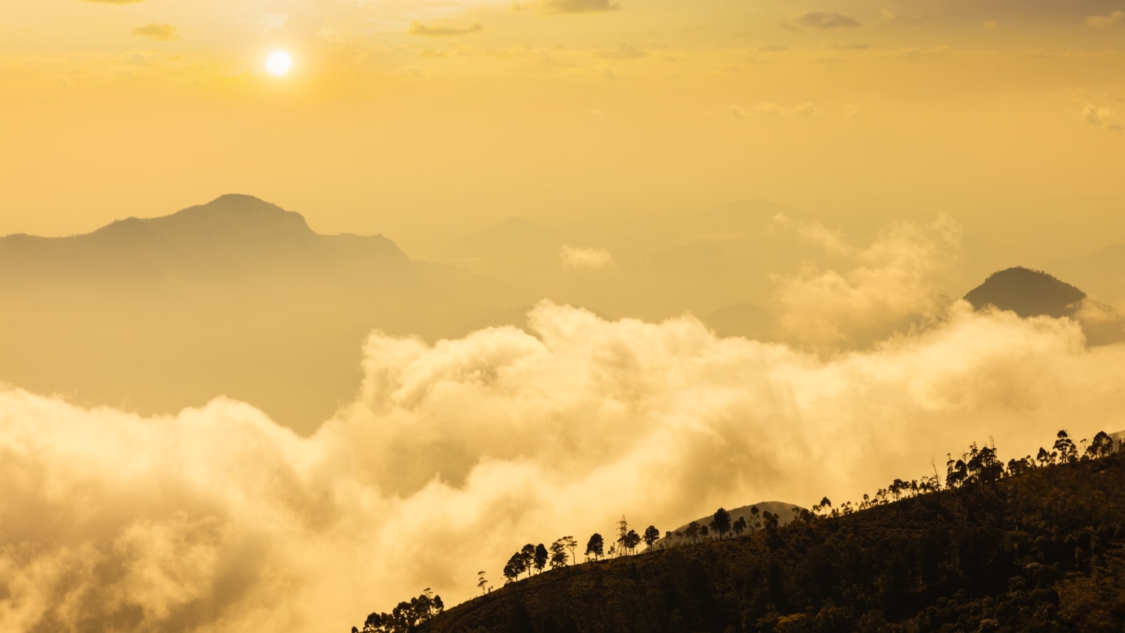 Ooty, Kodaikanal, Mallampuzha - 5 Days (Tamilnadu, Kerala)